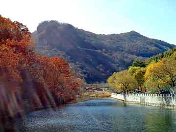 新澳天天免费资料大全，黄山seo程序